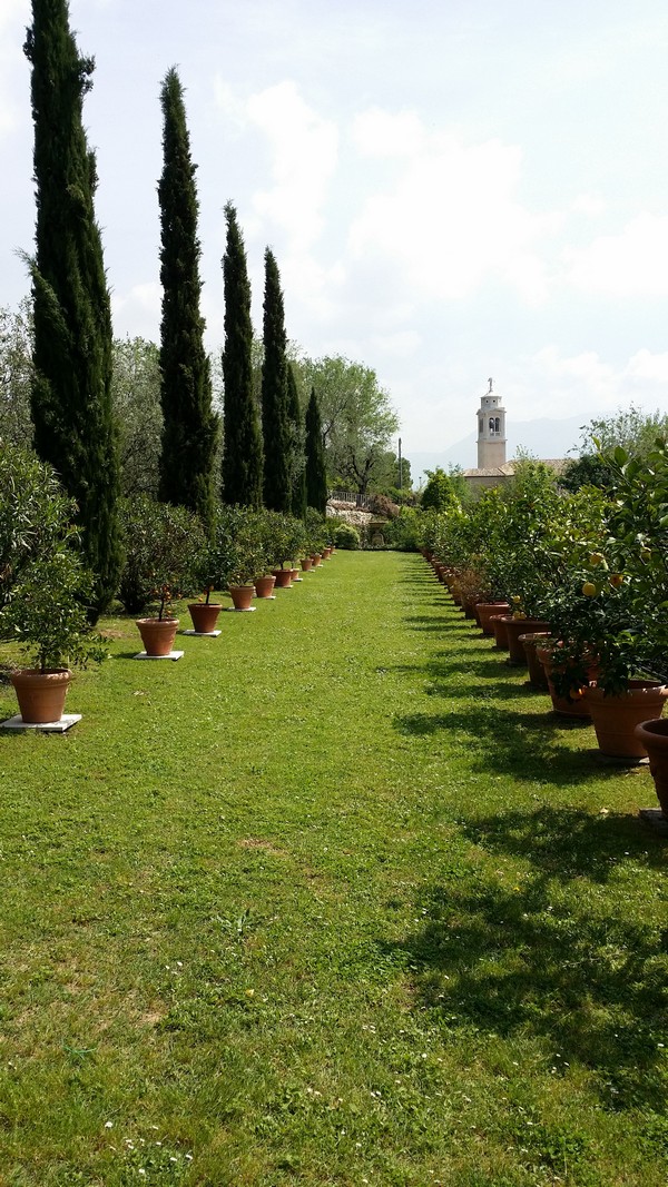 IL-GIARDINO-DI-CASA-BIASI
