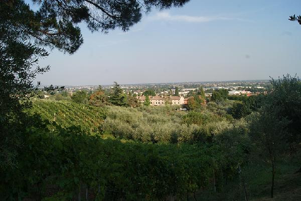 Tenuta-Baron-Brindisi-Italiano