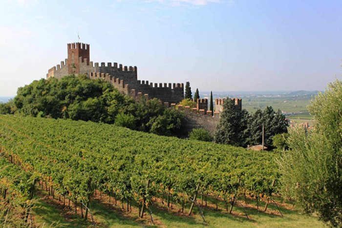 Tour-del-Soave-con-degustazione-in-cantina