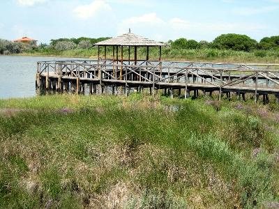 Giardino-botanico-di-Porto-Caleri