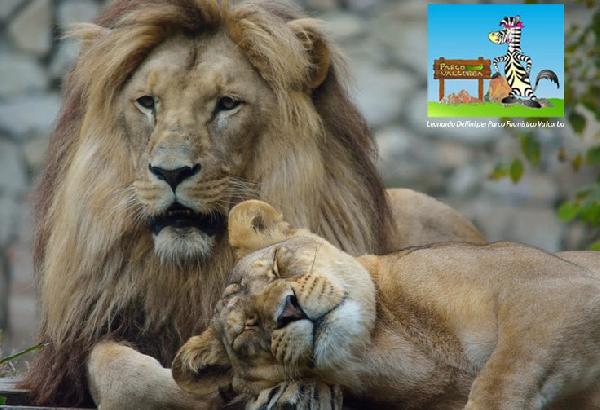 Parco-Valcorba-a-Stroppare-di-Pozzonovo