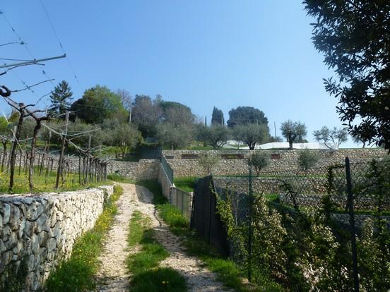 Valpolicella-la-Valle-del-Vino-in-mountain-bike