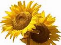 Resoconto Venetoedintorni 2011