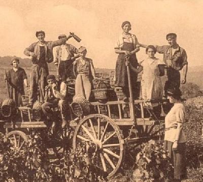 Origine Cognomi del Veneto e del Nord  EST