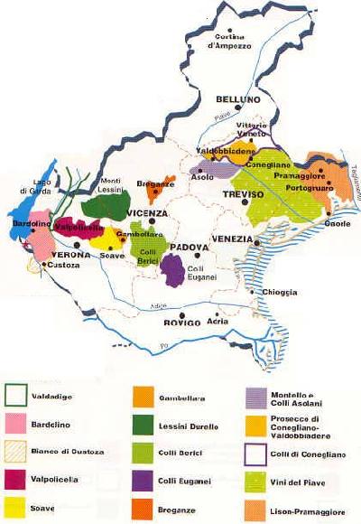 Caratteristiche e vitigni dei vini BIANCHI del Veneto