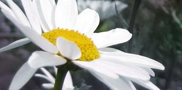 Gira l`italia in Bed and Brekfast