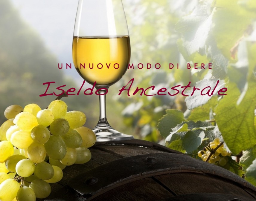 ISELDO vino col fondo